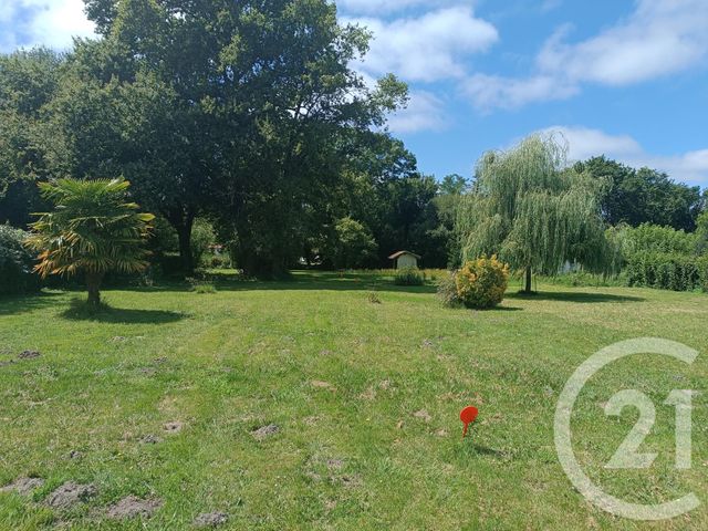 terrain - ST VIVIEN DE MEDOC - 33