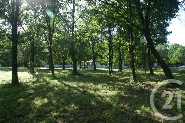 Terrain &agrave; vendre - 3960 m2 - St Vivien De Medoc - 33 - AQUITAINE