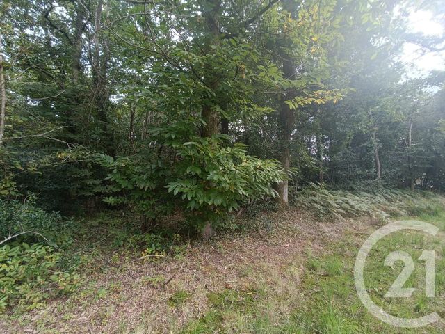 Terrain à vendre - 3189 m2 - Grayan Et L Hopital - 33 - AQUITAINE