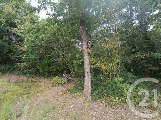 Terrain à vendre - 3189 m2 - Grayan Et L Hopital - 33 - AQUITAINE