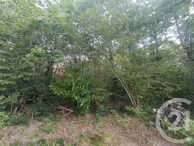 Terrain à vendre - 3189 m2 - Grayan Et L Hopital - 33 - AQUITAINE