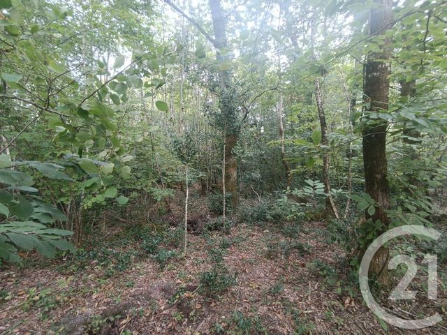 Terrain à vendre - 3189 m2 - Grayan Et L Hopital - 33 - AQUITAINE