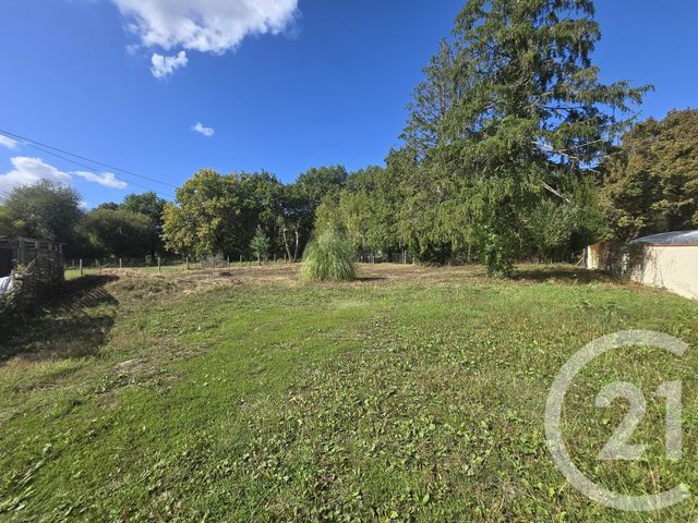 terrain - ST VIVIEN DE MEDOC - 33