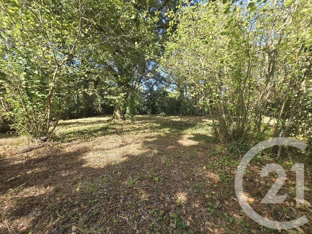 Terrain à vendre - 2934 m2 - St Vivien De Medoc - 33 - AQUITAINE