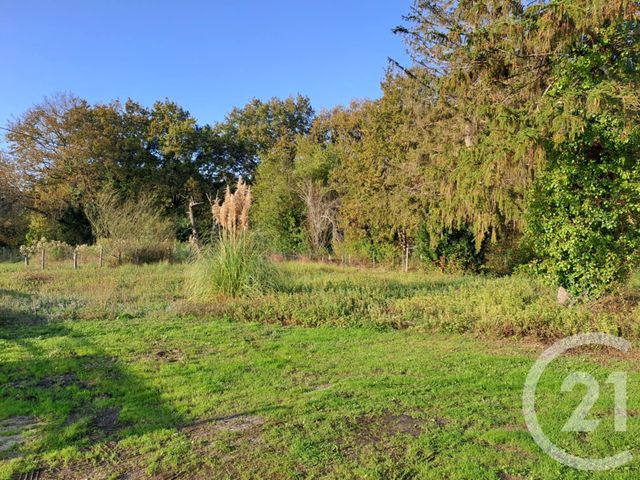 Terrain à vendre - 2934 m2 - St Vivien De Medoc - 33 - AQUITAINE