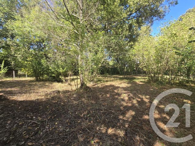 Terrain à vendre - 2934 m2 - St Vivien De Medoc - 33 - AQUITAINE