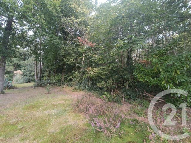 Terrain à vendre - 3069 m2 - Grayan Et L Hopital - 33 - AQUITAINE