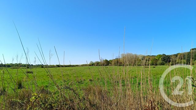 Afficher la photo en grand Maison à vendre - 5 pièces - 100,87 m2 - Le Verdon Sur Mer - 33 - AQUITAINE