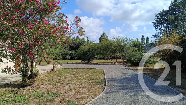 Afficher la photo en grand Maison à vendre - 5 pièces - 201,39 m2 - Talais - 33 - AQUITAINE