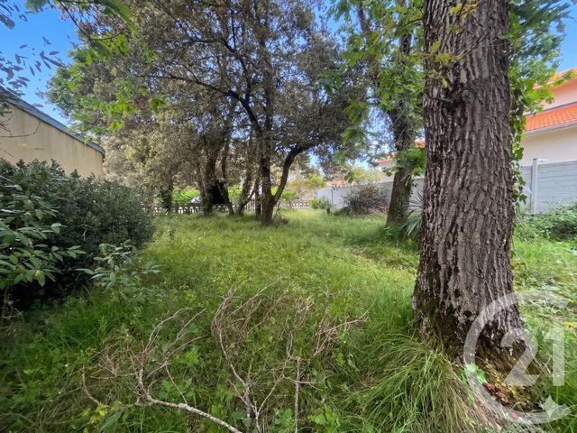 Terrain &agrave; vendre - 395 m2 - Soulac Sur Mer - 33 - AQUITAINE