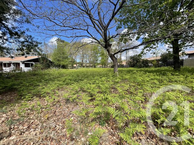 Terrain &agrave; vendre - 989 m2 - Hourtin - 33 - AQUITAINE