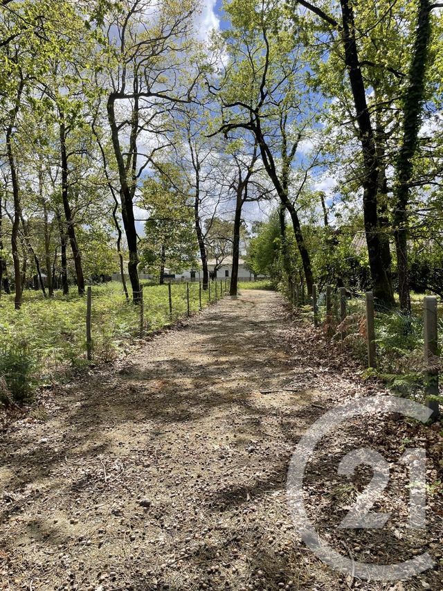 Terrain &agrave; vendre - 989 m2 - Hourtin - 33 - AQUITAINE