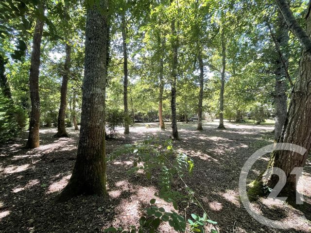 Terrain à vendre - 850 m2 - Hourtin - 33 - AQUITAINE