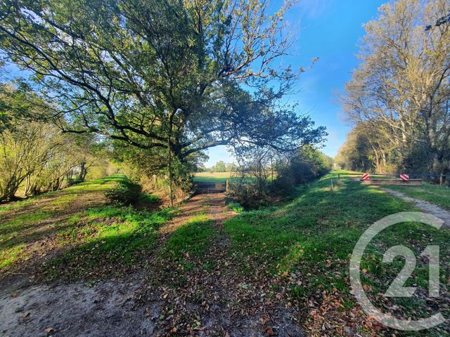 Terrain &agrave; vendre - 104684 m2 - Lesparre Medoc - 33 - AQUITAINE