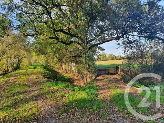 Terrain &agrave; vendre - 104684 m2 - Lesparre Medoc - 33 - AQUITAINE