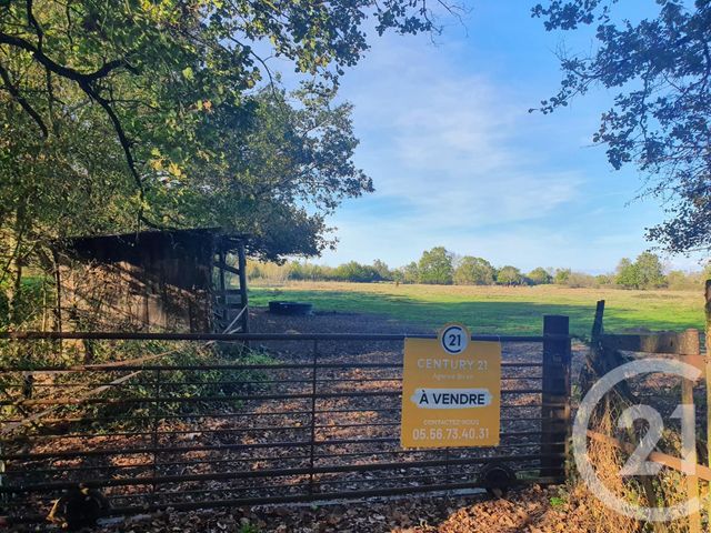 Terrain &agrave; vendre - 104684 m2 - Lesparre Medoc - 33 - AQUITAINE