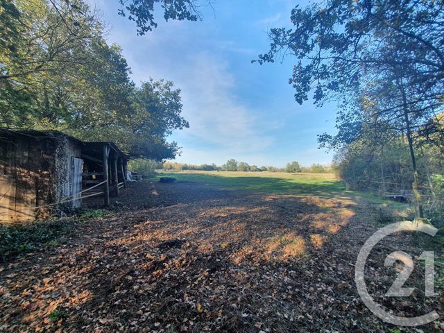 Terrain &agrave; vendre - 104684 m2 - Lesparre Medoc - 33 - AQUITAINE