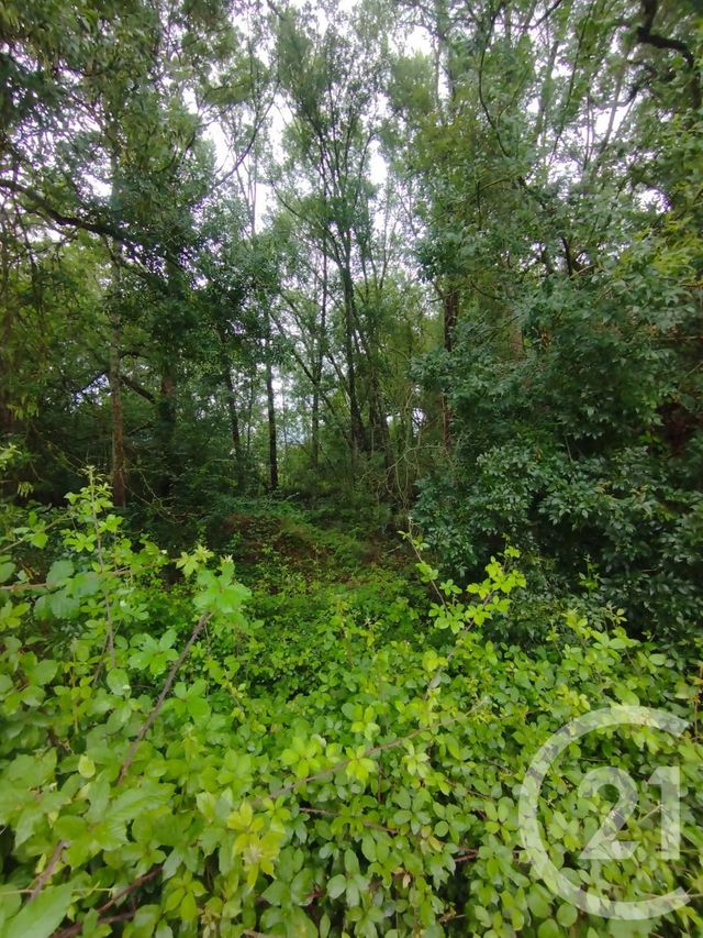 Terrain à vendre - 2147 m2 - Queyrac - 33 - AQUITAINE