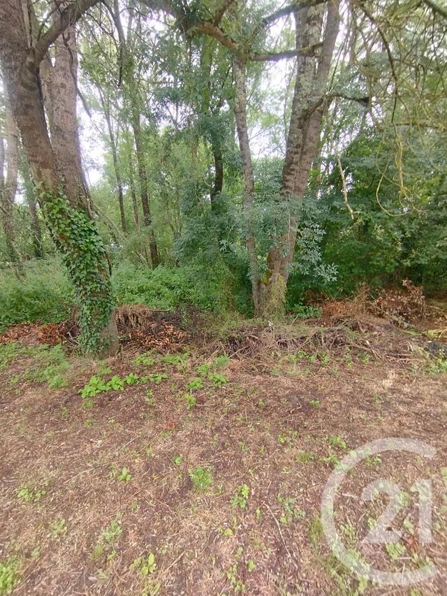 Terrain à vendre - 2147 m2 - Queyrac - 33 - AQUITAINE