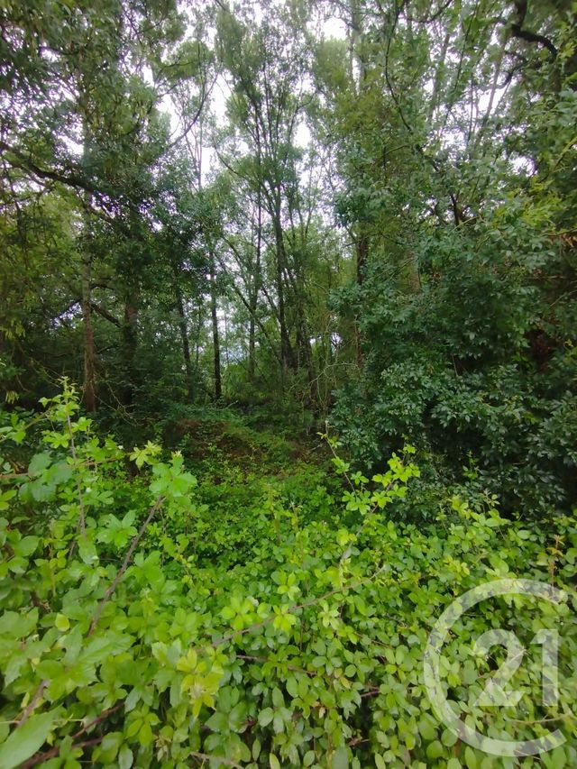 Terrain à vendre - 2147 m2 - Queyrac - 33 - AQUITAINE