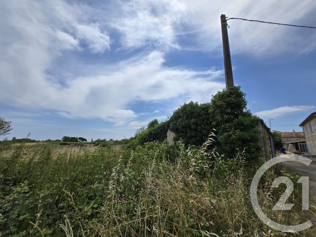 Maison à vendre - 1 pièce - 50 m2 - St Germain D Esteuil - 33 - AQUITAINE