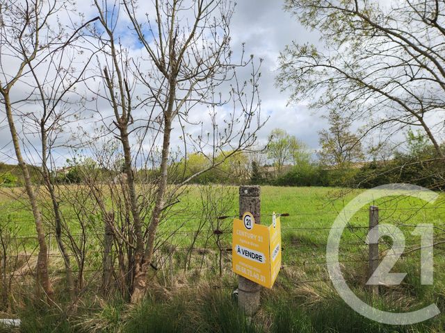 Terrain &agrave; vendre - 1235 m2 - Lesparre Medoc - 33 - AQUITAINE