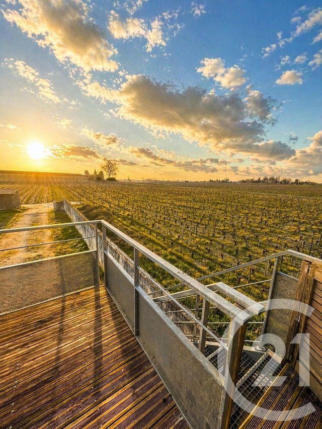 Appartement F5 &agrave; louer - 5 pi&egrave;ces - 130,60 m2 - Margaux Cantenac - 33 - AQUITAINE