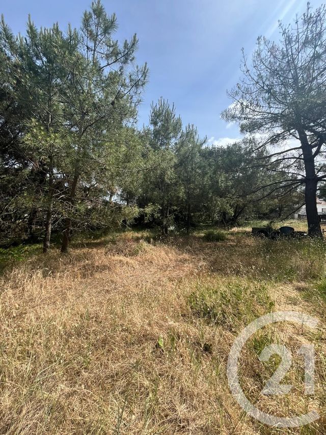 Terrain à vendre - 900 m2 - Vendays Montalivet - 33 - AQUITAINE