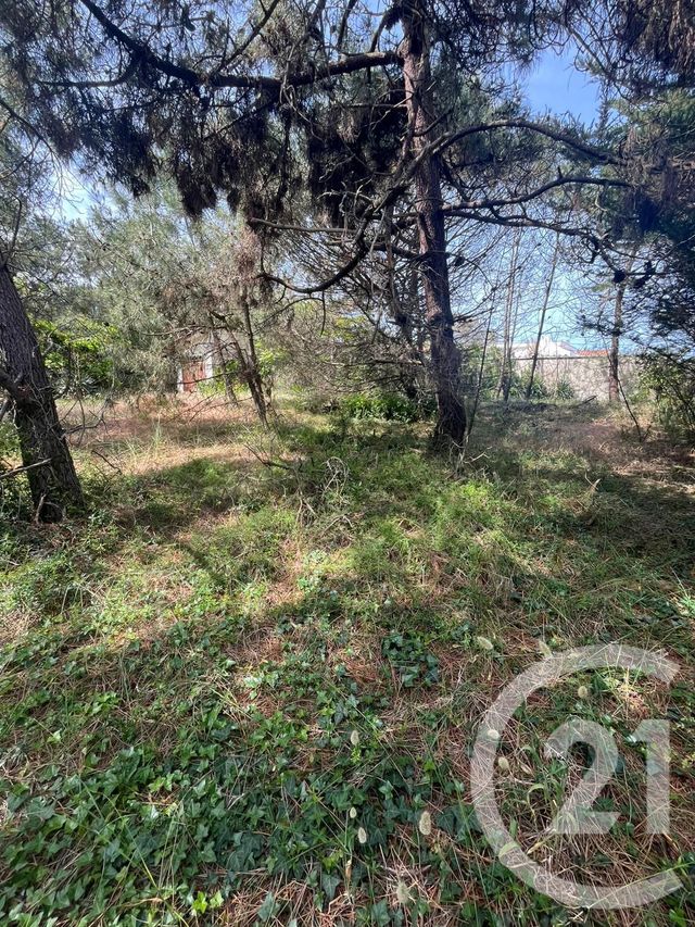 terrain - VENDAYS MONTALIVET - 33