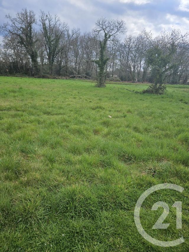 Afficher la photo en grand Terrain à vendre - 536 m2 - Brach - 33 - AQUITAINE