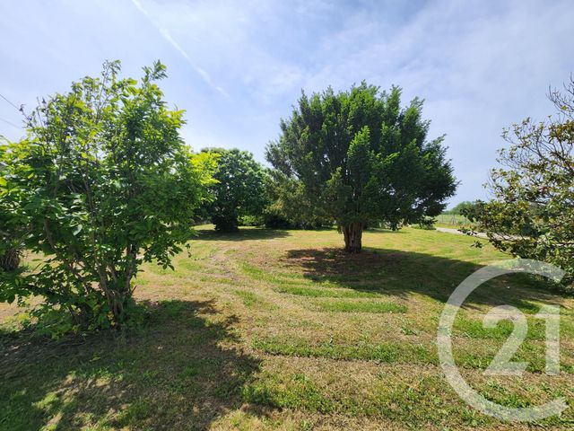 Maison &agrave; vendre - 7 pi&egrave;ces - 180,81 m2 - Lamarque - 33 - AQUITAINE